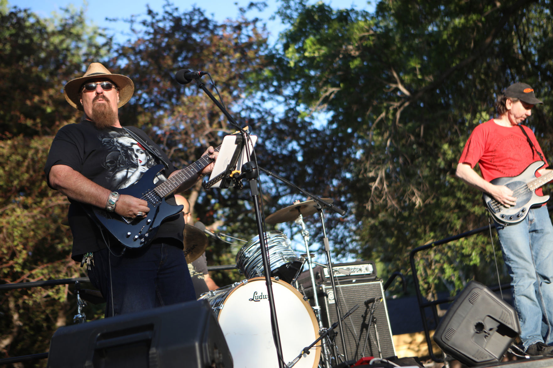 Concert In The Park